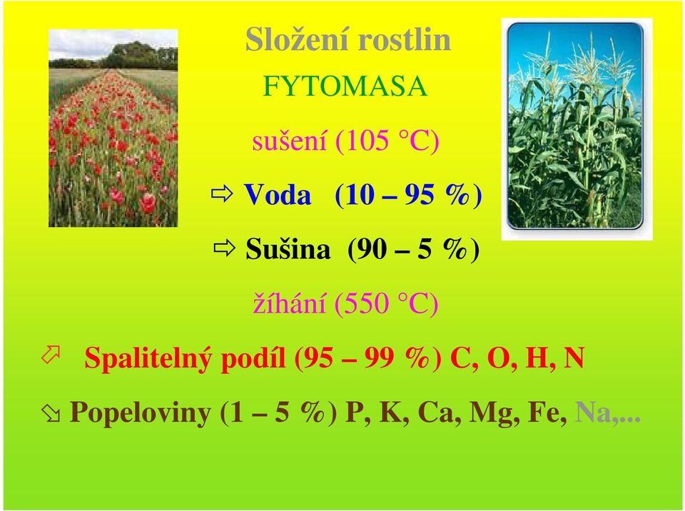 (550 C) Spalitelný podíl (95 99 %) C, O,