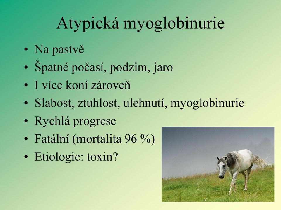 Slabost, ztuhlost, ulehnutí, myoglobinurie