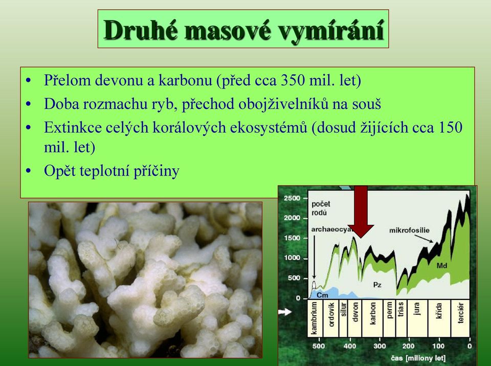 let) Doba rozmachu ryb, přechod obojživelníků na