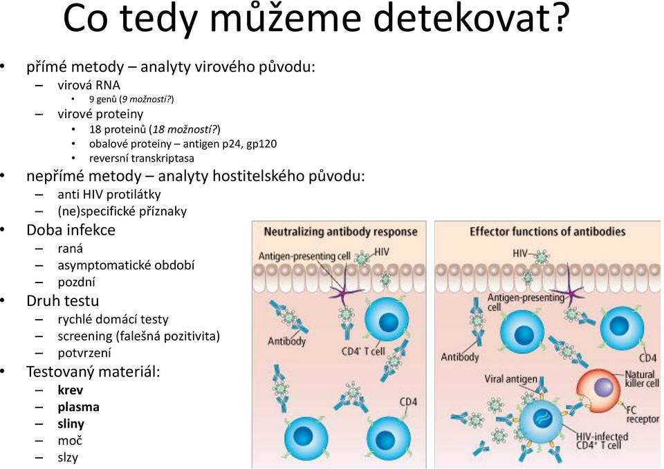 ) obalové proteiny antigen p24, gp120 reversní transkriptasa nepřímé metody analyty hostitelského původu: anti