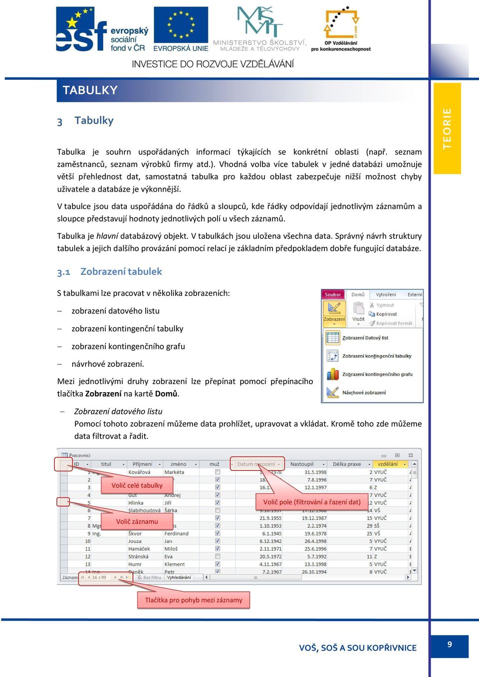 V tabulce jsou data uspořádána do řádků a sloupců, kde řádky odpovídají jednotlivým záznamům a sloupce představují hodnoty jednotlivých polí u všech záznamů. Tabulka je hlavní databázový objekt.