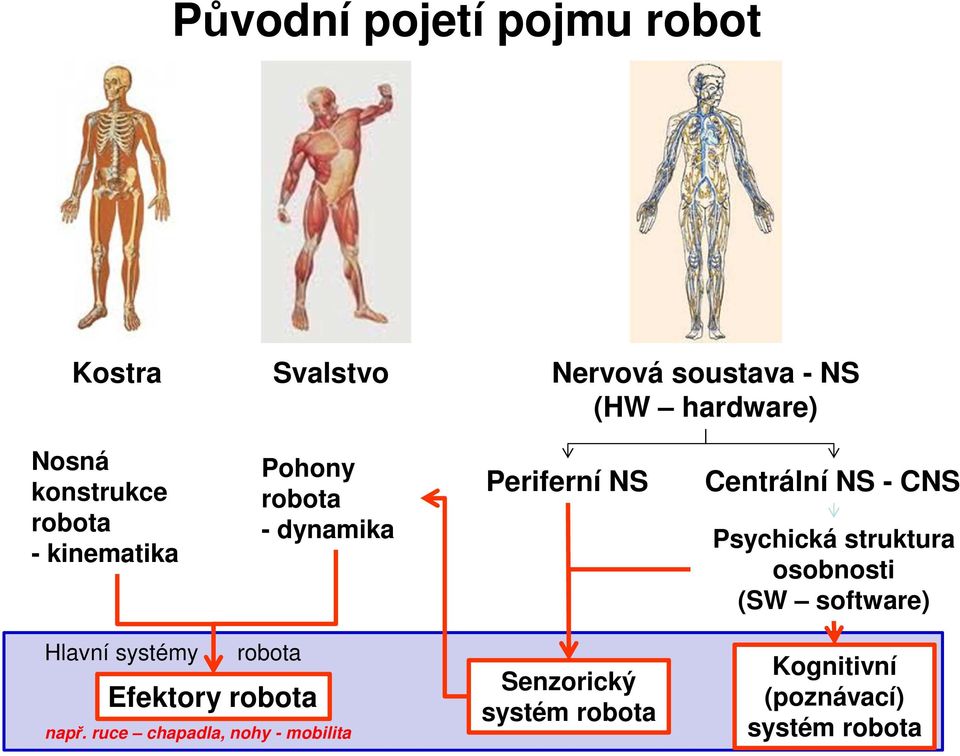 Psychická struktura osobnosti (SW software) Hlavní systémy robota Efektory robota např.