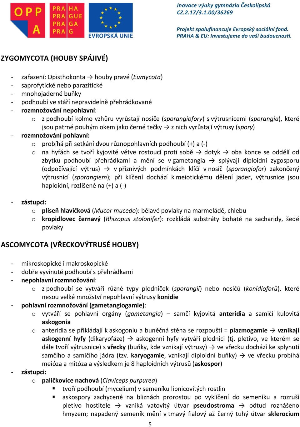 pohlavní: o probíhá při setkání dvou různopohlavních podhoubí (+) a (-) o na hyfách se tvoří kyjovité větve rostoucí proti sobě dotyk oba konce se oddělí od zbytku podhoubí přehrádkami a mění se v