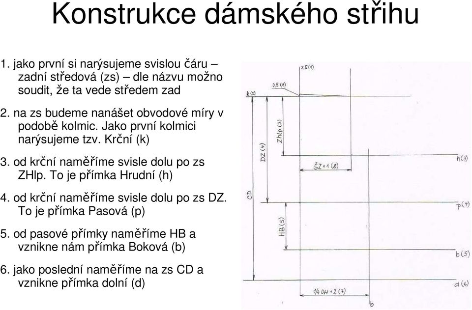 na zs budeme nanášet obvodové míry v podobě kolmic. Jako první kolmici narýsujeme tzv. Krční (k) 3.