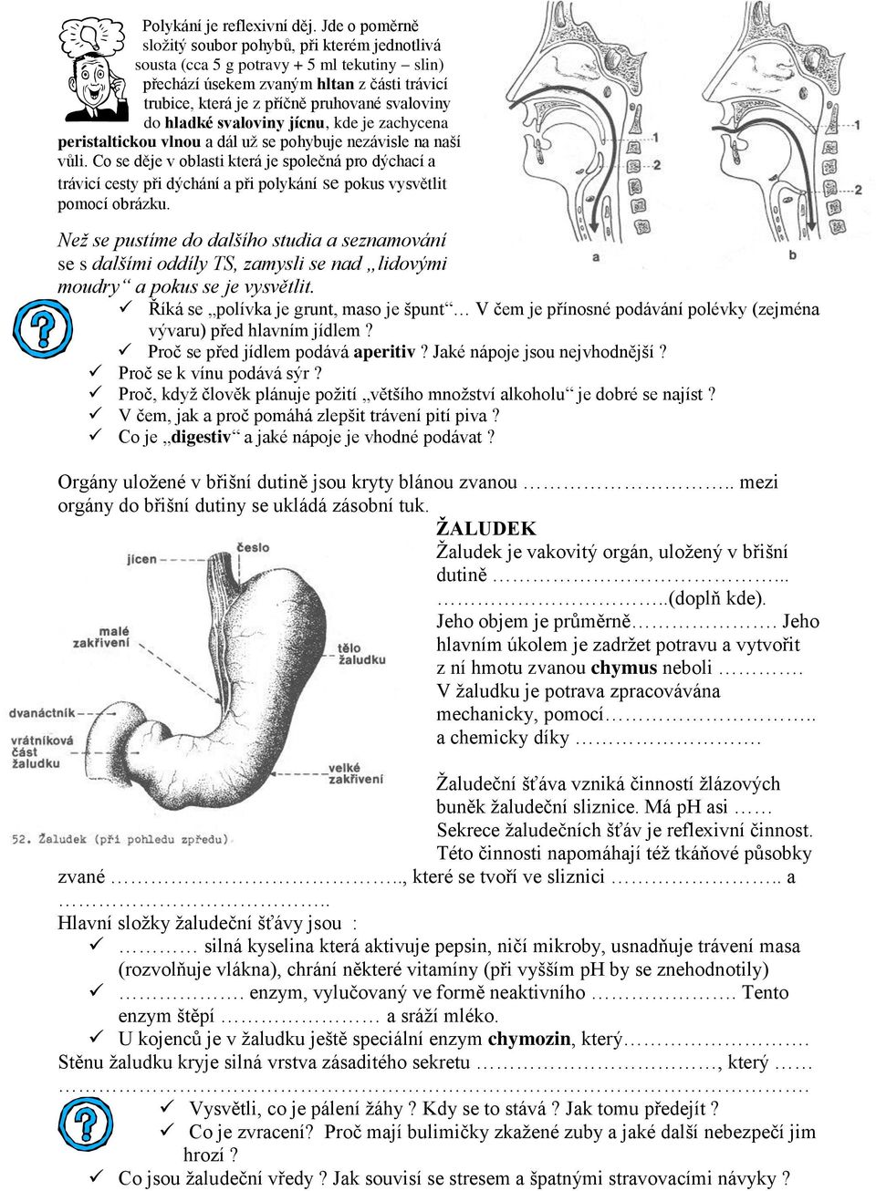 hladké svaloviny jícnu, kde je zachycena peristaltickou vlnou a dál už se pohybuje nezávisle na naší vůli.