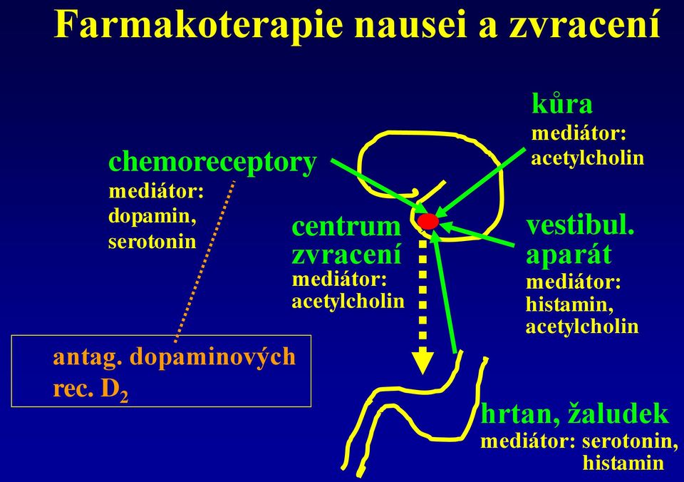 D 2 centrum zvracení mediátor: acetylcholin kůra mediátor: