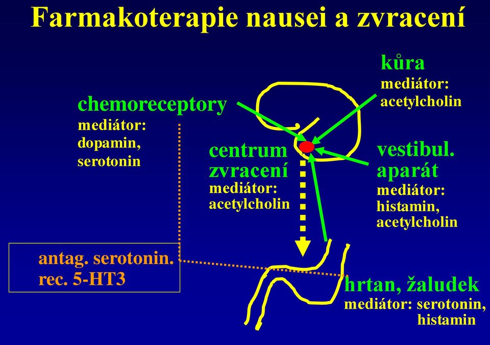 5-HT3 centrum zvracení mediátor: acetylcholin kůra mediátor: