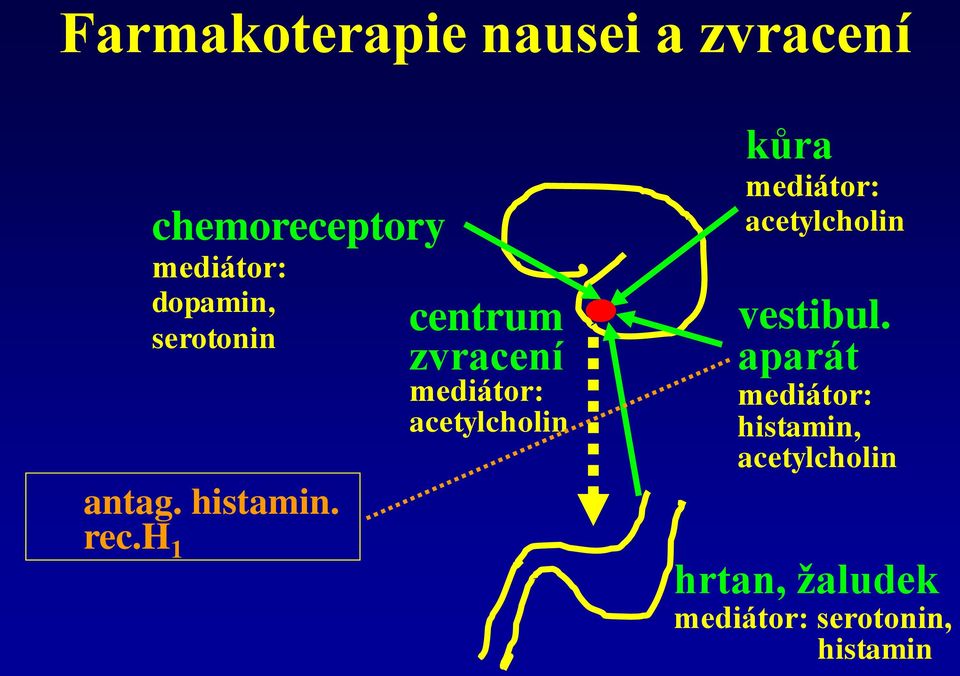 h 1 centrum zvracení mediátor: acetylcholin kůra mediátor:
