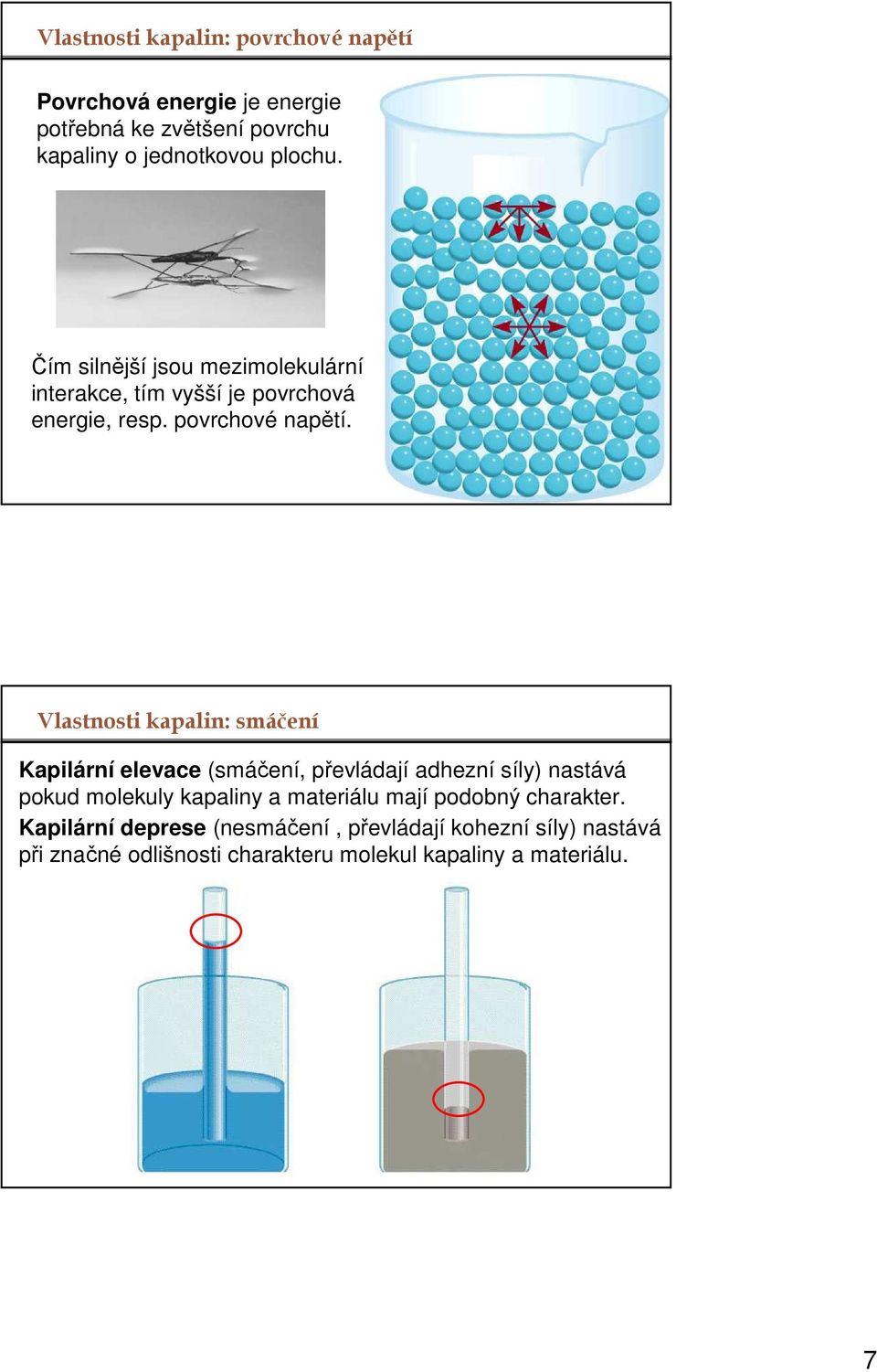 Vlastnosti kapalin: smáčení Kapilární elevace (smáčení, převládají adhezní síly) nastává pokud molekuly kapaliny a materiálu