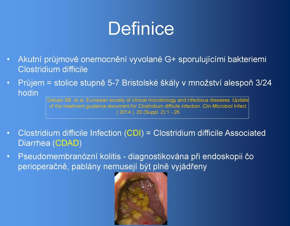 European society of clinical microbiology and infectious diseases: Update of the treatment guidance document for Clostridium difficile infection.