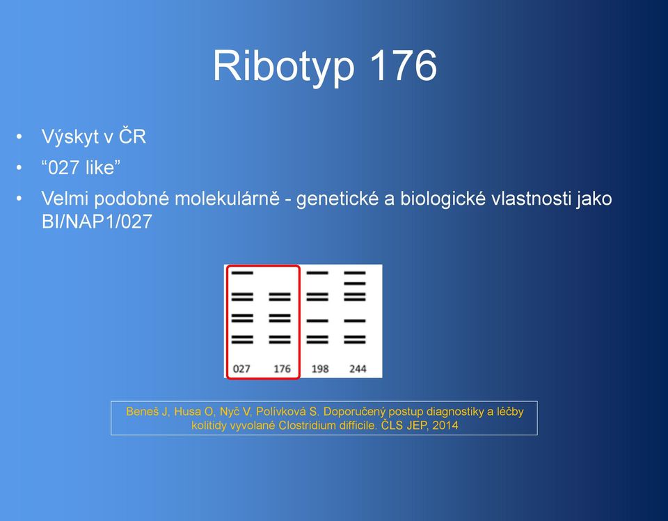 Husa O, Nyč V, Polívková S.