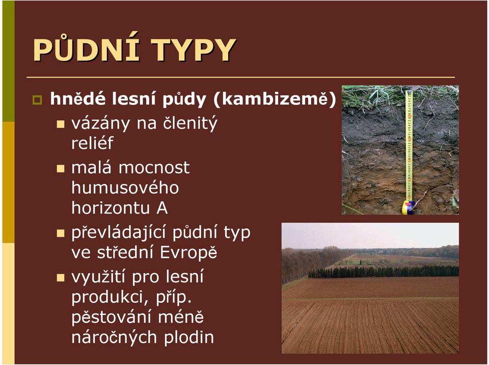převládající půdní typ ve střední Evropě využití