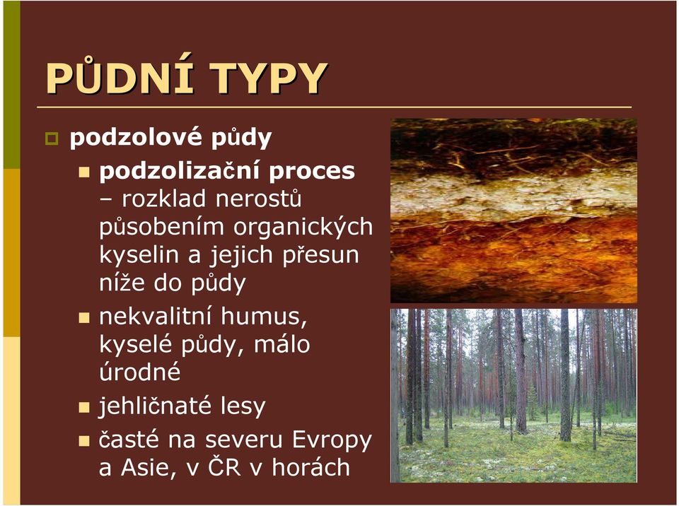 níže do půdy nekvalitní humus, kyselé půdy, málo úrodné