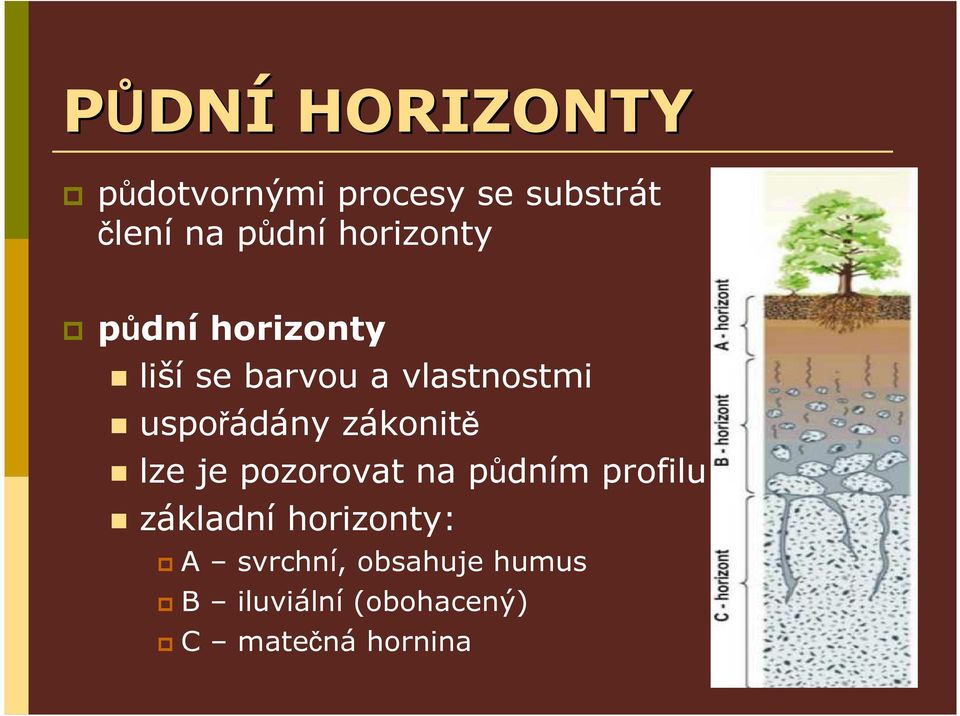 zákonitě lze je pozorovat na půdním profilu základní horizonty: A