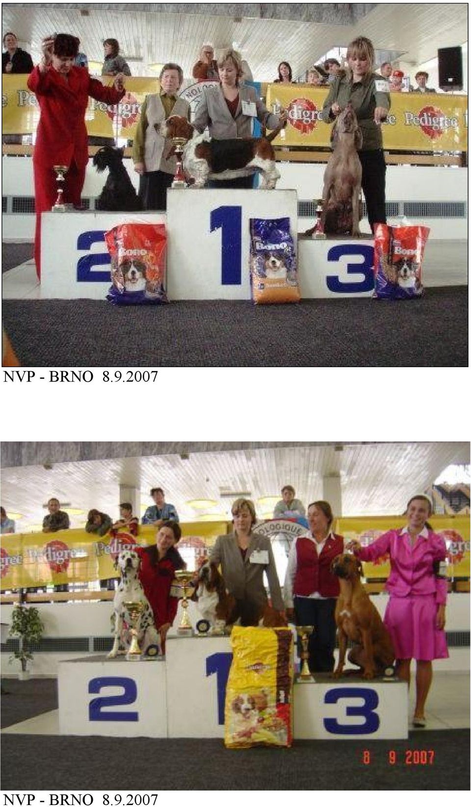 2007 
