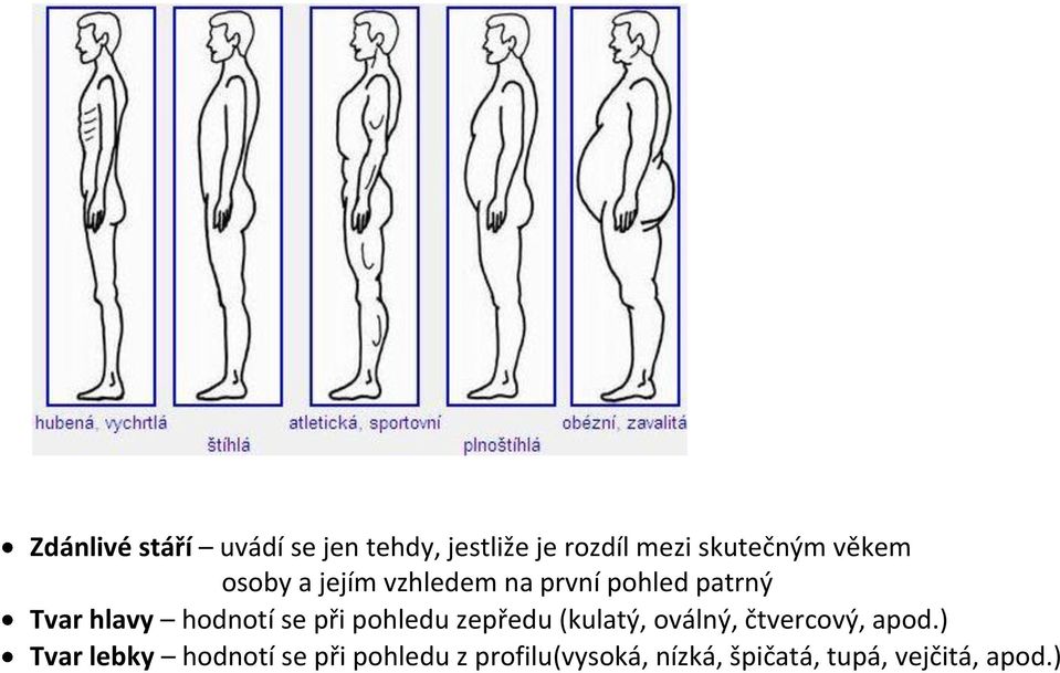 se při pohledu zepředu (kulatý, oválný, čtvercový, apod.