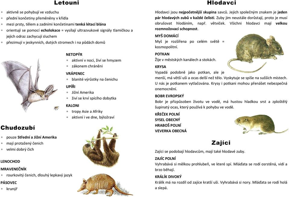 Jejich společným znakem je jeden pár hlodavých zubů v každé čelisti. Zuby jim neustále dorůstají, proto je musí obrušovat hlodáním, např. větviček. Všichni hlodavci mají velkou rozmnožovací schopnost.