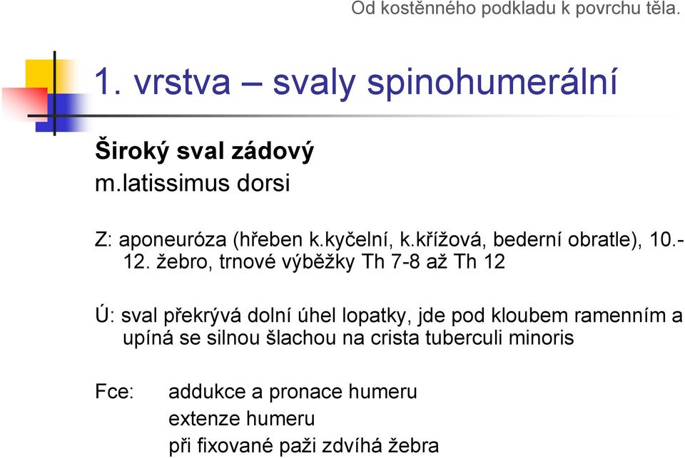 žebro, trnové výběžky Th 7-8 až Th 12 Ú: sval překrývá dolní úhel lopatky, jde pod kloubem