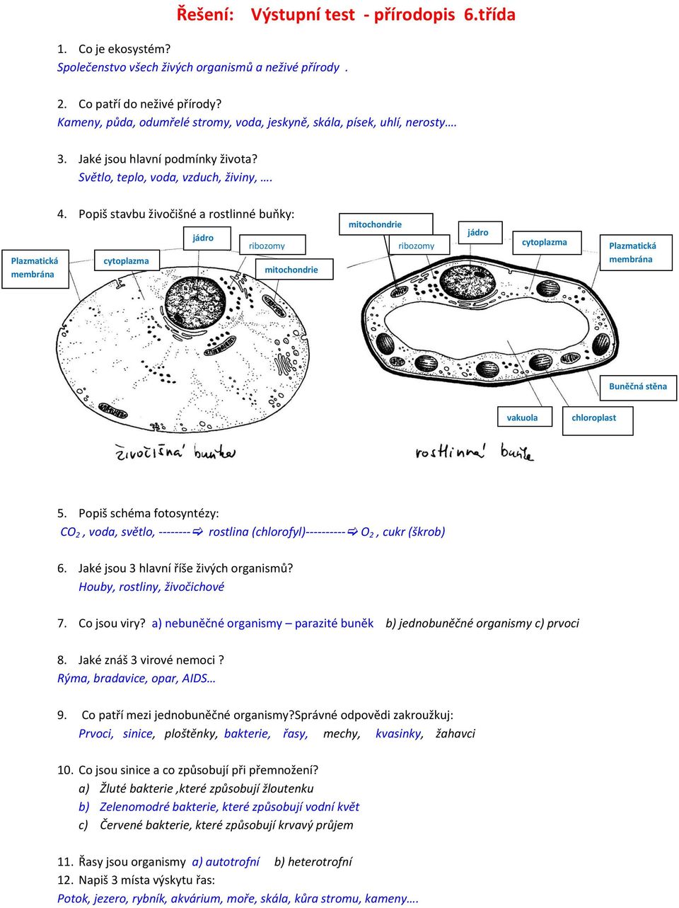 Popiš stavbu živočišné a rostlinné buňky: cytoplazma jádro ribozomy mitochondrie mitochondrie ribozomy jádro cytoplazma Plazmatická membrána Buněčná stěna vakuola chloroplast 5.