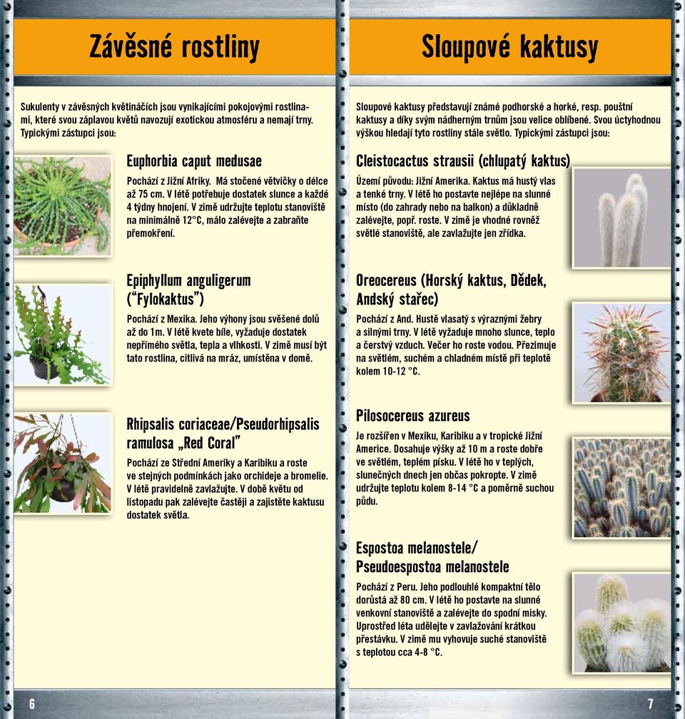 V zimě udržujte teplotu stanoviště na minimálně 12 C, málo zalévejte a zabraňte přemokření. Sloupové kaktusy představují známé podhorské a horké, resp.