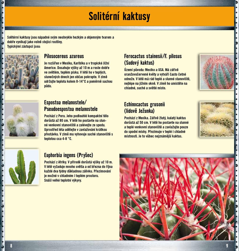V létě ho v teplých, slunečných dnech jen občas pokropte. V zimě udržujte teplotu kolem 8-14 C a poměrně suchou půdu. Ferocactus stainesii/f. pilosus (Sudový kaktus) Území původu: Mexiko a USA.