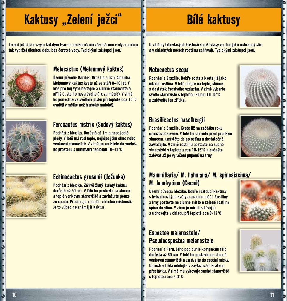 Typickými zástupci jsou: Melocactus (Melounový kaktus) Území původu: Karibik, Brazílie a Jižní Amerika. Melounový kaktus kvete až ve stáří 8 10 let.