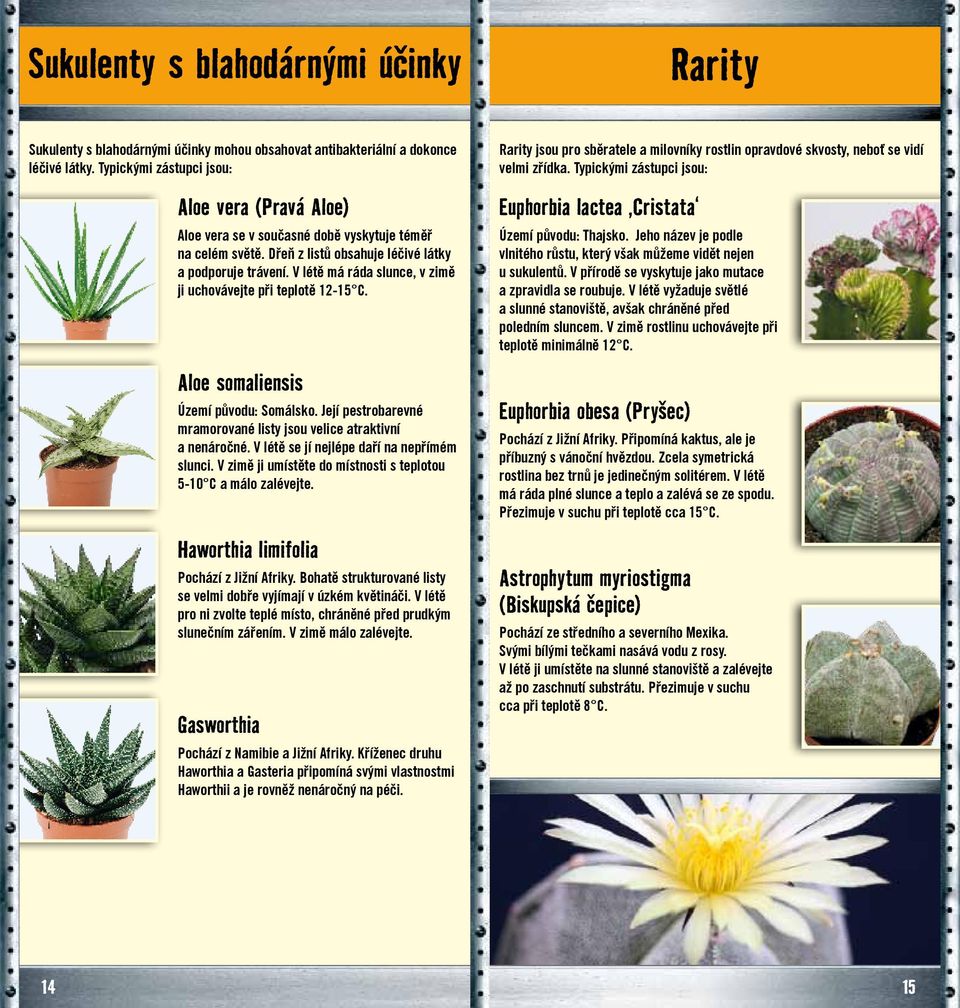 V létě má ráda slunce, v zimě ji uchovávejte při teplotě 12-15 C. Aloe somaliensis Území původu: Somálsko. Její pestrobarevné mramorované listy jsou velice atraktivní a nenáročné.