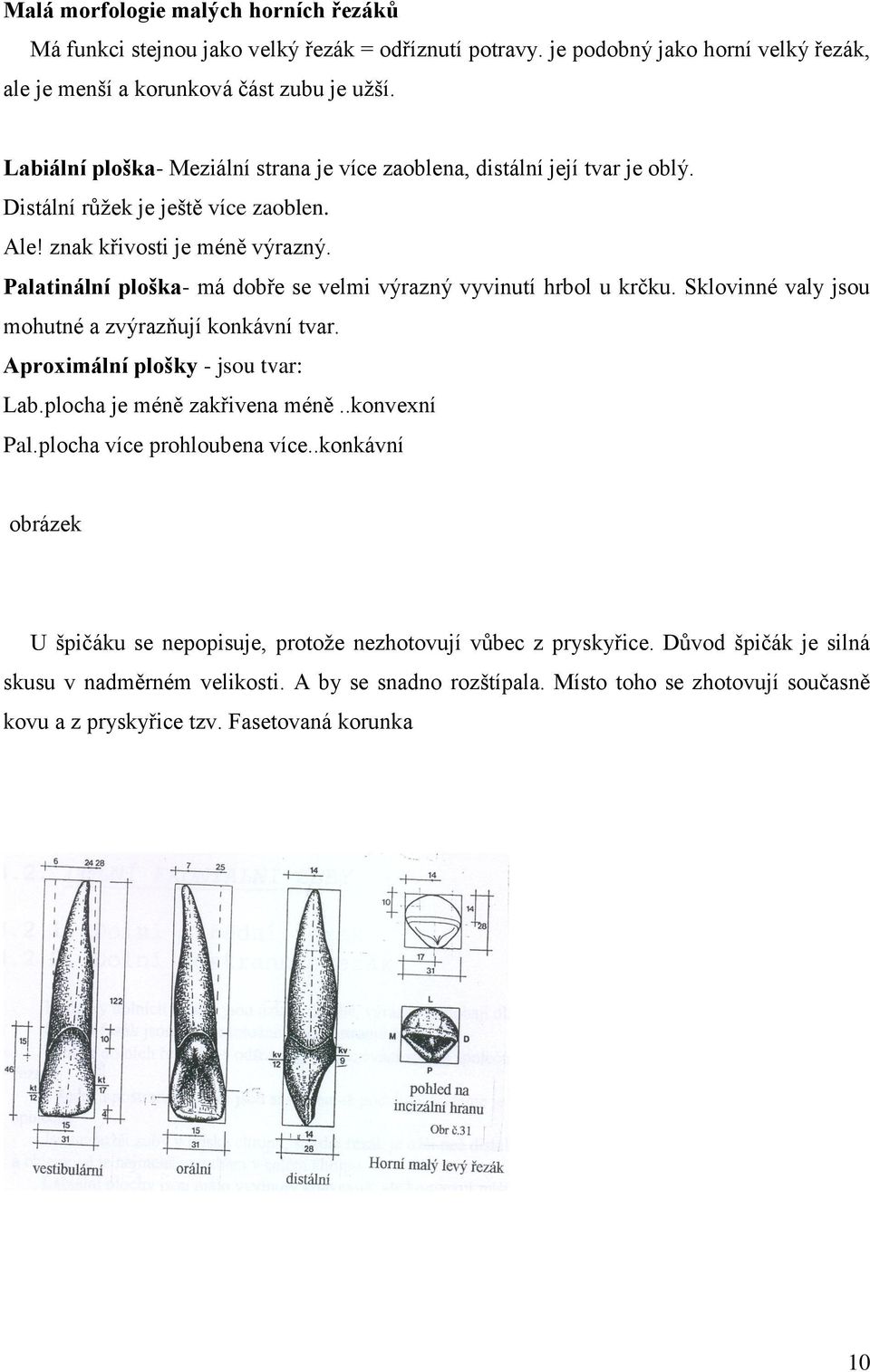 Palatinální ploška- má dobře se velmi výrazný vyvinutí hrbol u krčku. Sklovinné valy jsou mohutné a zvýrazňují konkávní tvar. Aproximální plošky - jsou tvar: Lab.plocha je méně zakřivena méně.