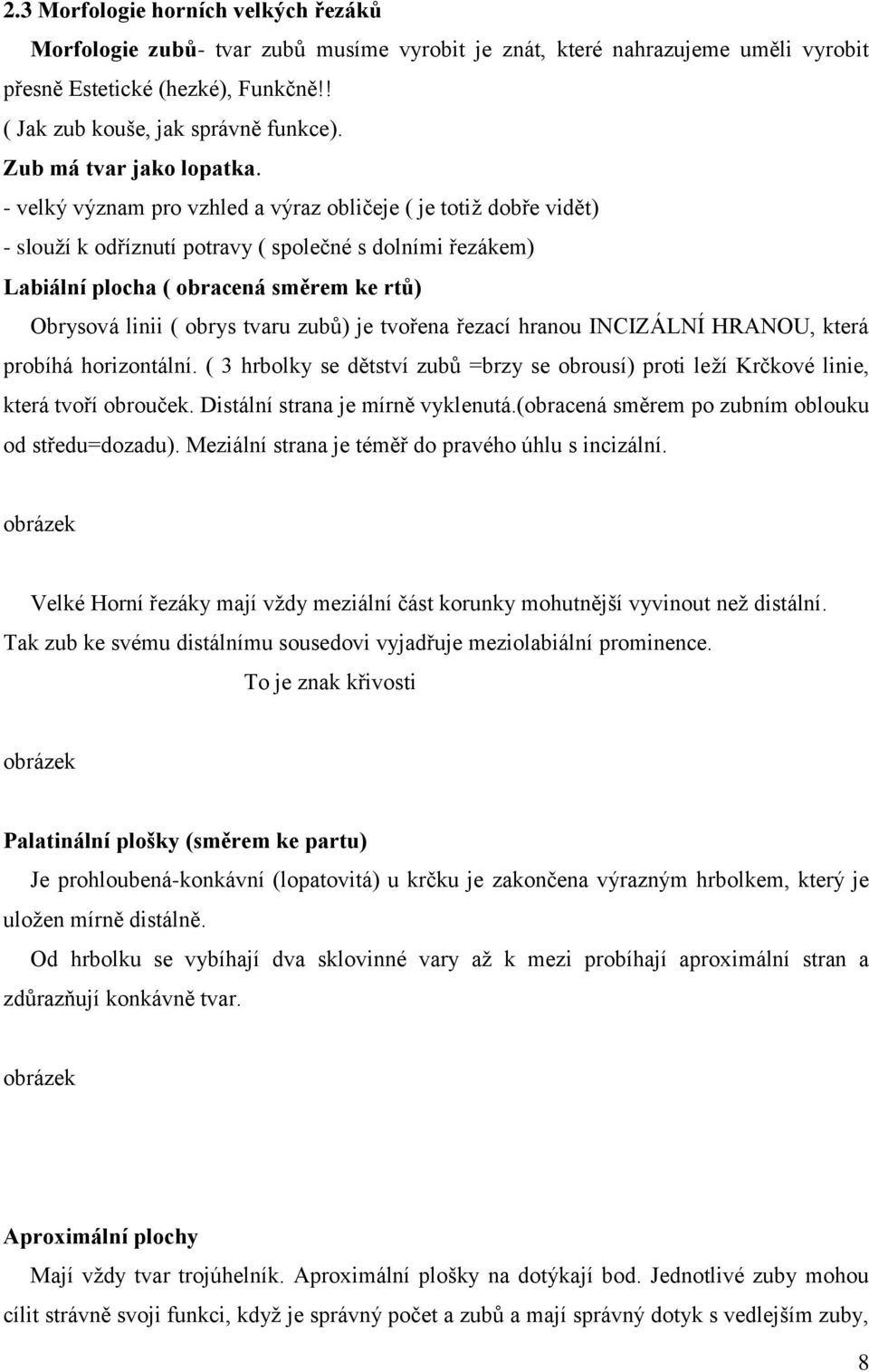 - velký význam pro vzhled a výraz obličeje ( je totiţ dobře vidět) - slouţí k odříznutí potravy ( společné s dolními řezákem) Labiální plocha ( obracená směrem ke rtů) Obrysová linii ( obrys tvaru