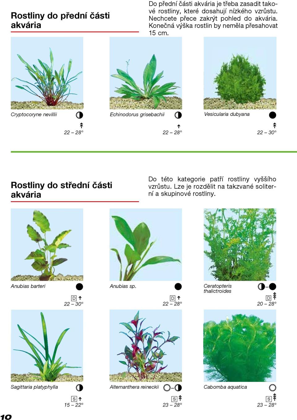 Cryptocoryne nevillii Echinodorus grisebachii Vesicularia dubyana 22 28 22 28 22 30 Rostliny do střední části akvária Do této kategorie patří rostliny