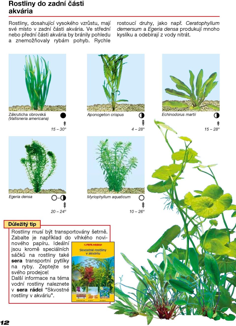 Zákruticha obrovská (Vallisneria americana) Aponogeton crispus Echinodorus martii 15 30 4 28 15 28 Egeria densa Myriophyllum aquaticum 20 24 10 26 Důležitý tip Rostliny musí být transportovány