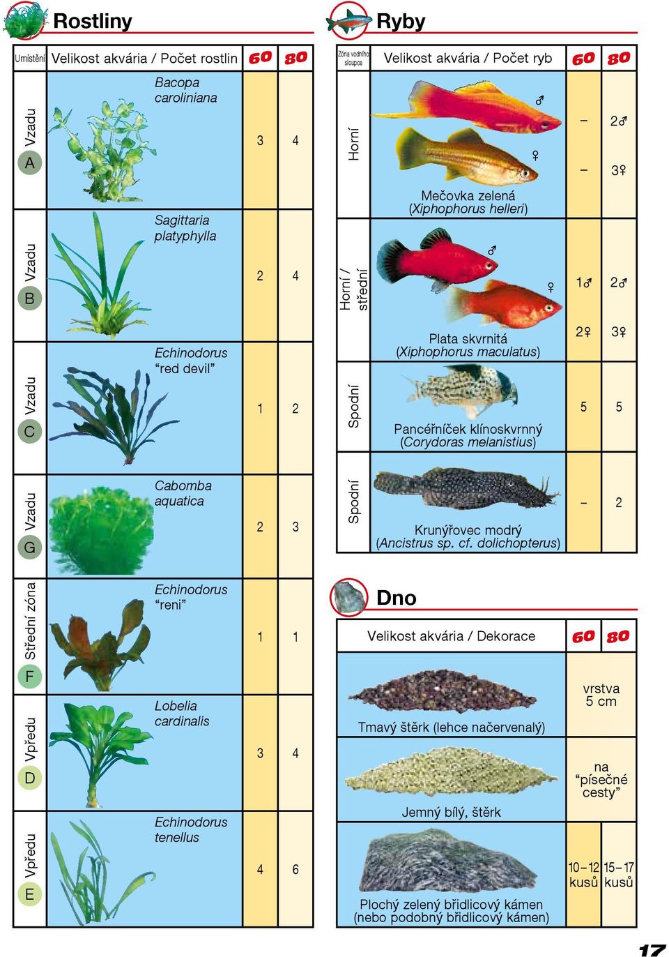 Vzadu G Cabomba aquatica 2 3 Spodní Krunýřovec modrý (Ancistrus sp. cf.