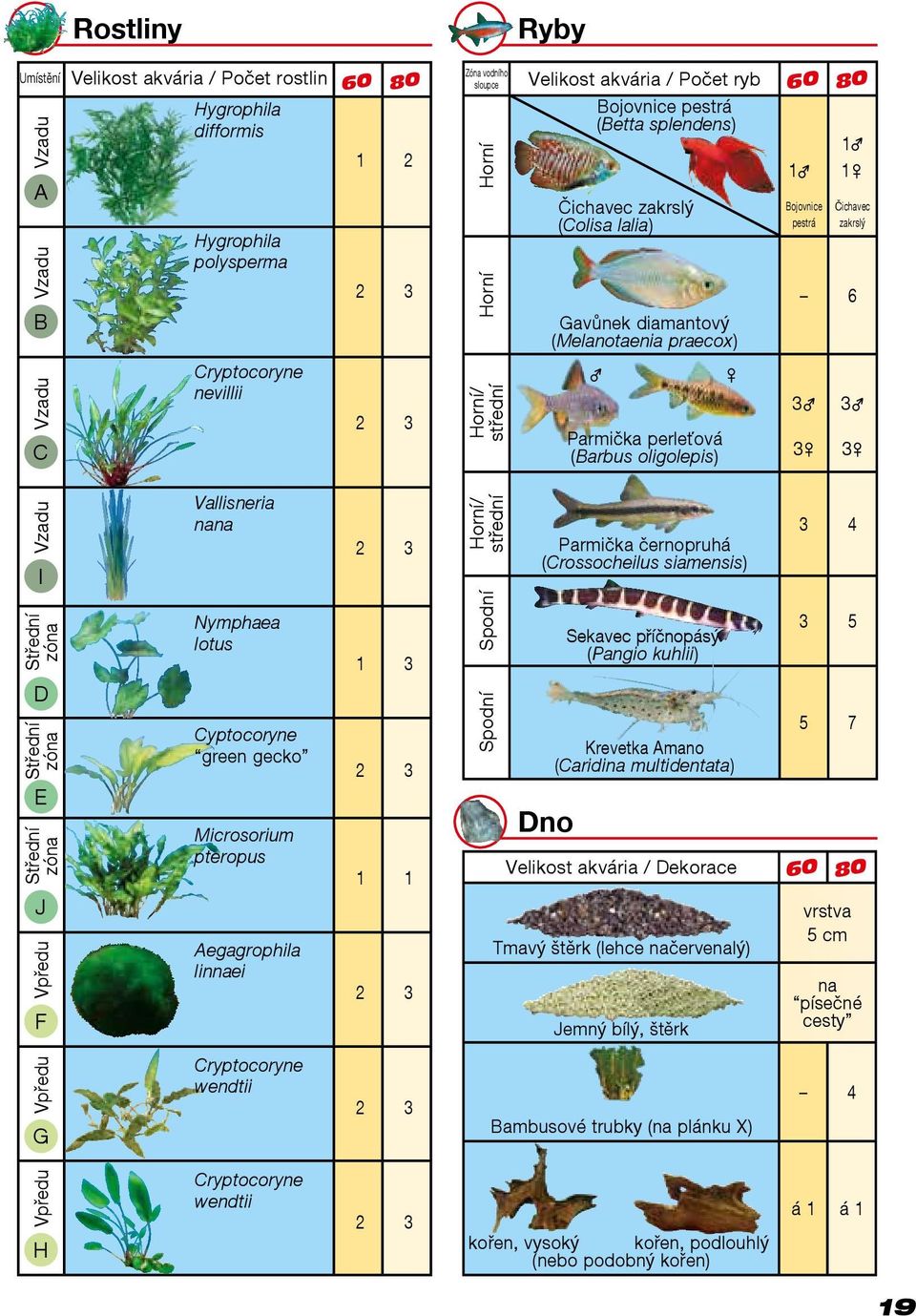 Bojovnice pestrá 3 3 1 1 Čichavec zakrslý 6 3 3 Vzadu I Vallisneria nana 2 3 Horní/ střední Parmička černopruhá (Crossocheilus siamensis) 3 4 Střední zóna D Střední zóna E Střední zóna J Vpředu F