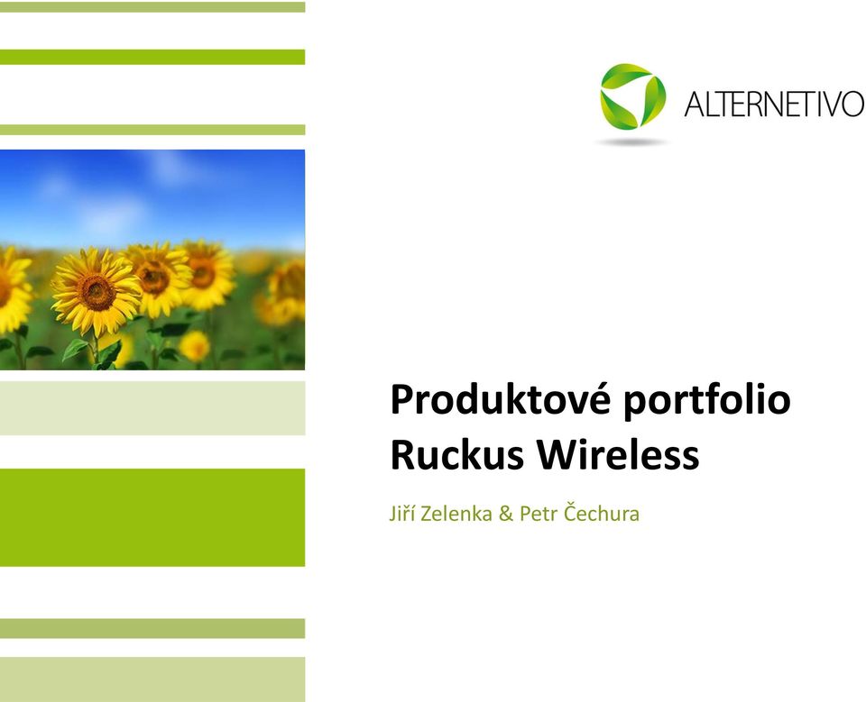 Ruckus Wireless