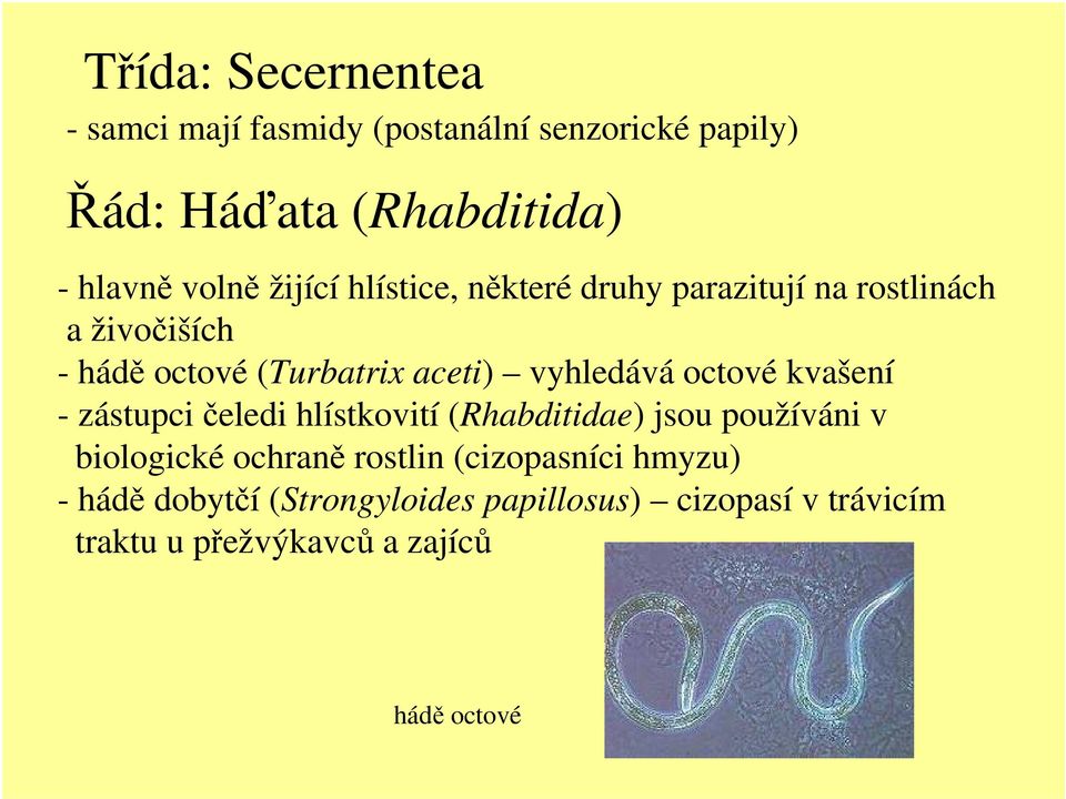 octové kvašení - zástupci čeledi hlístkovití (Rhabditidae) jsou používáni v biologické ochraně rostlin