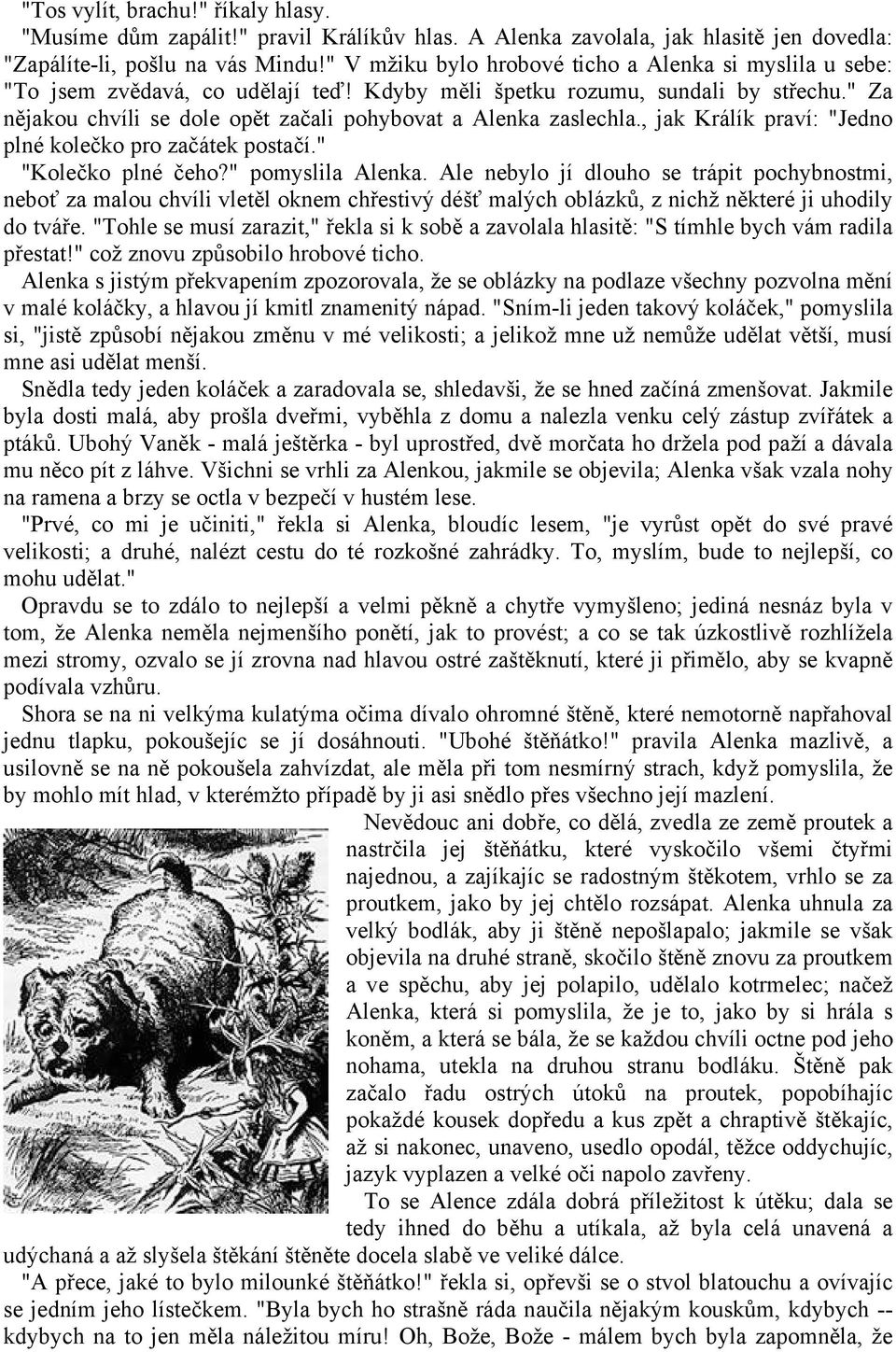 " Za nějakou chvíli se dole opět začali pohybovat a Alenka zaslechla., jak Králík praví: "Jedno plné kolečko pro začátek postačí." "Kolečko plné čeho?" pomyslila Alenka.