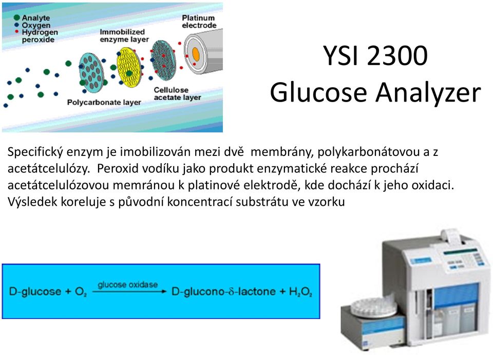 Peroxid vodíku jako produkt enzymatické reakce prochází acetátcelulózovou