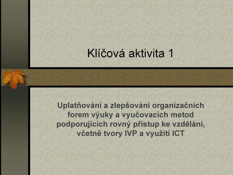 vyučovacích metod podporujících rovný