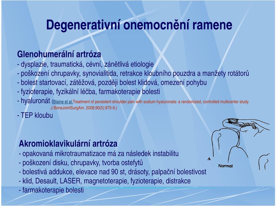 treatment of persistent shoulder pain with sodium hyaluronate: a randomized, controlled multicenter study. J BoneJointSurgAm. 2008;90(5):970-9.