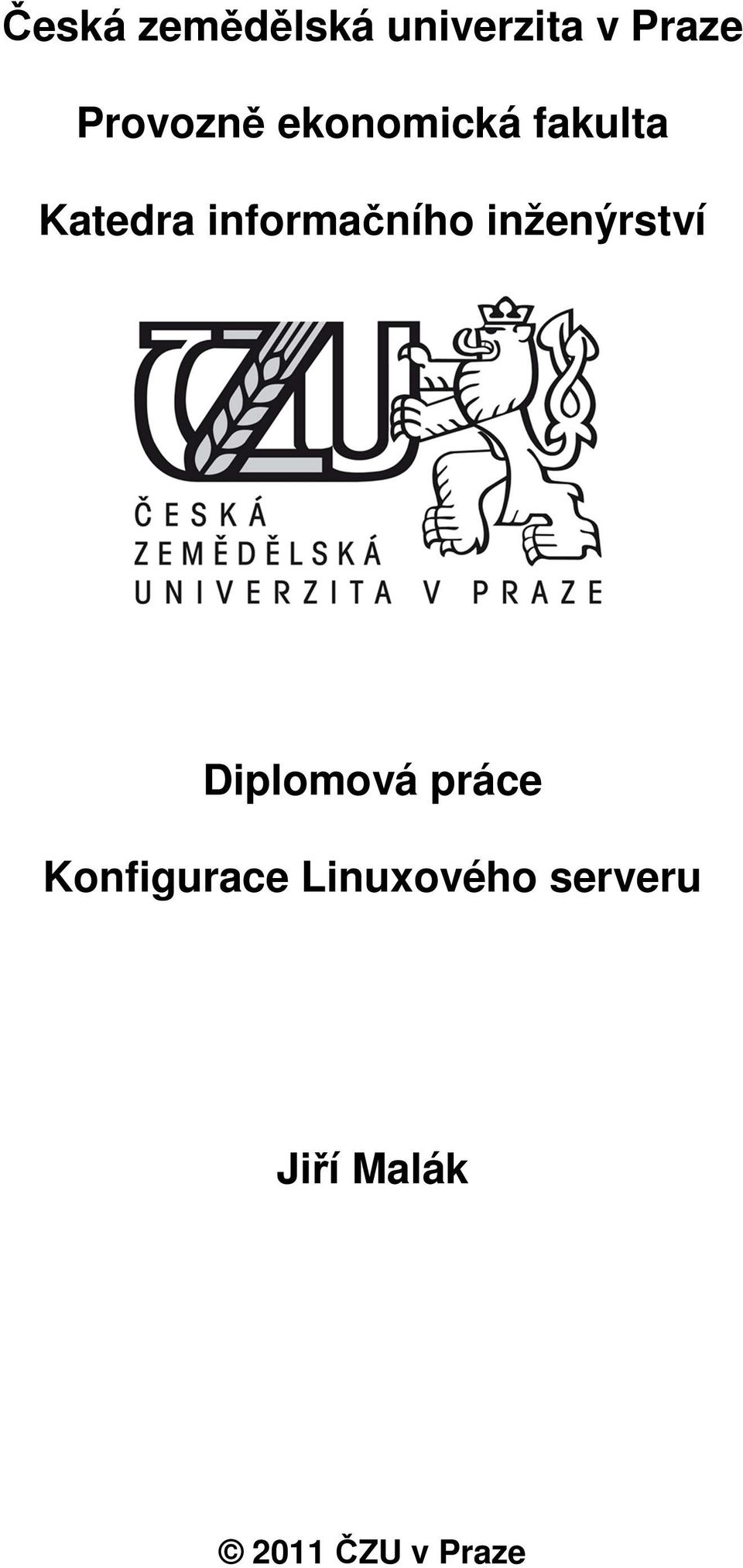 informačního inženýrství Diplomová práce
