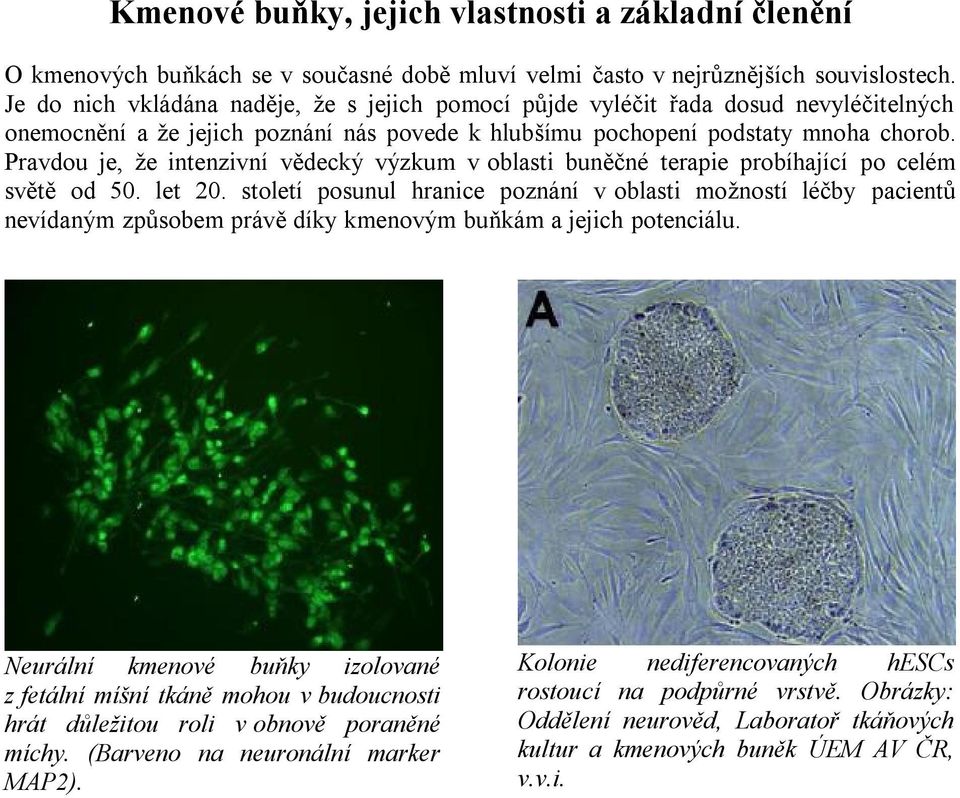 Pravdou je, že intenzivní vědecký výzkum v oblasti buněčné terapie probíhající po celém světě od 50. let 20.