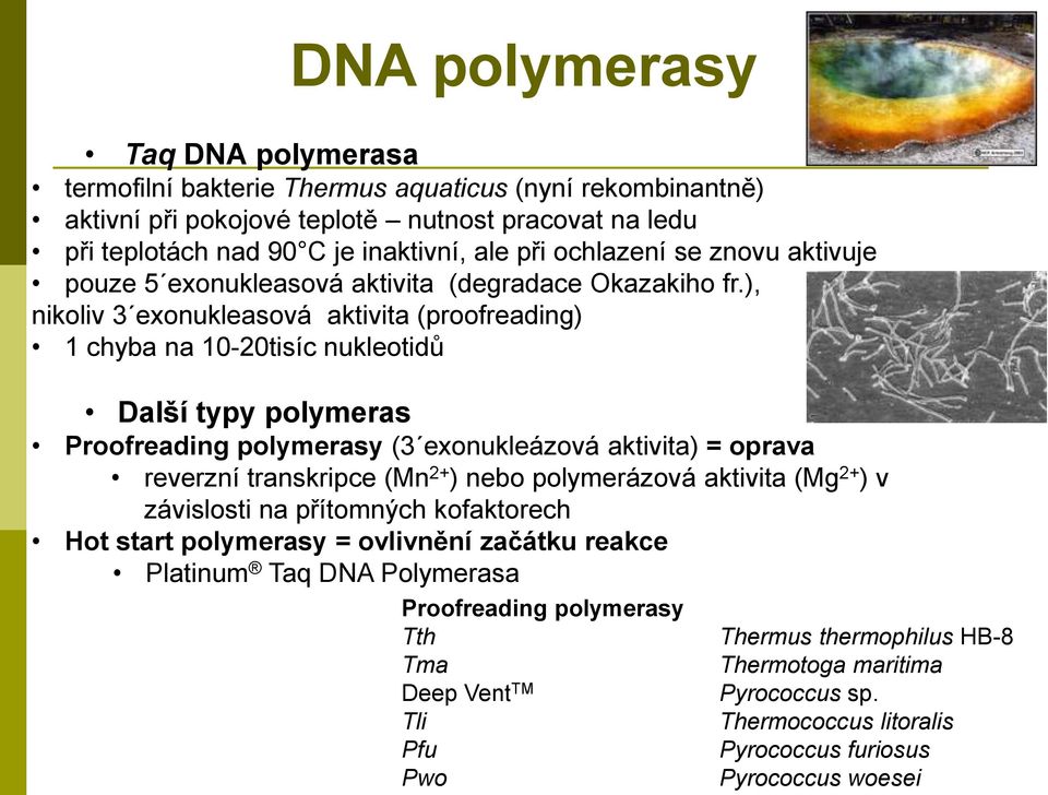 ), nikoliv 3 exonukleasová aktivita (proofreading) 1 chyba na 10-20tisíc nukleotidů Další typy polymeras Proofreading polymerasy (3 exonukleázová aktivita) = oprava reverzní transkripce (Mn 2+ ) nebo