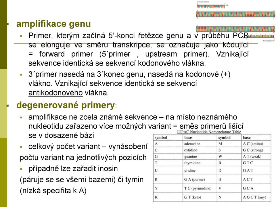 Vznikající sekvence identická se sekvencí antikodonového vlákna.