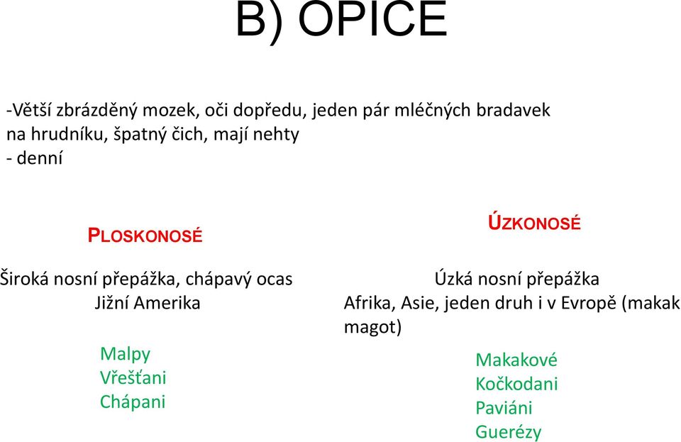 chápavý ocas Jižní Amerika Malpy Vřešťani Chápani ÚZKONOSÉ Úzká nosní přepážka