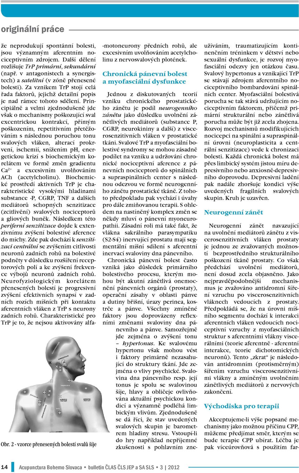 Principiálně a velmi zjednodušeně jde však o mechanismy poškozující sval excentrickou kontrakcí, přímým poškozením, repetitivním přetěžováním s následnou poruchou tonu svalových vláken, alterací