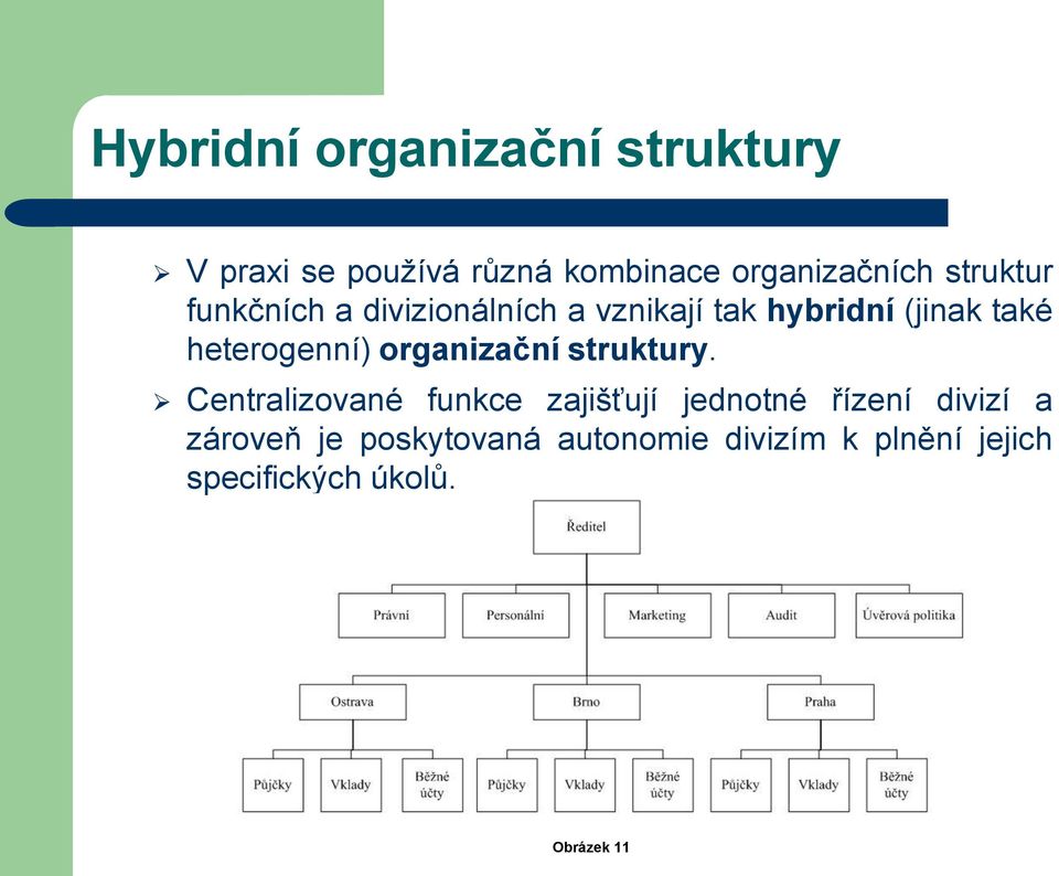 heterogenní) organizační struktury.