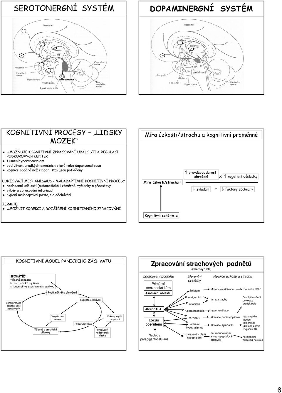 událostí (automatické i záměrné myšlenky a představy výběr a zpracování informací rigidní maladaptivní postoje a očekávání TERAPIE UMOŽNIT KOREKCI A ROZŠÍŘENÍ KOGNITIVNÍHO ZPRACOVÁNÍ Míra