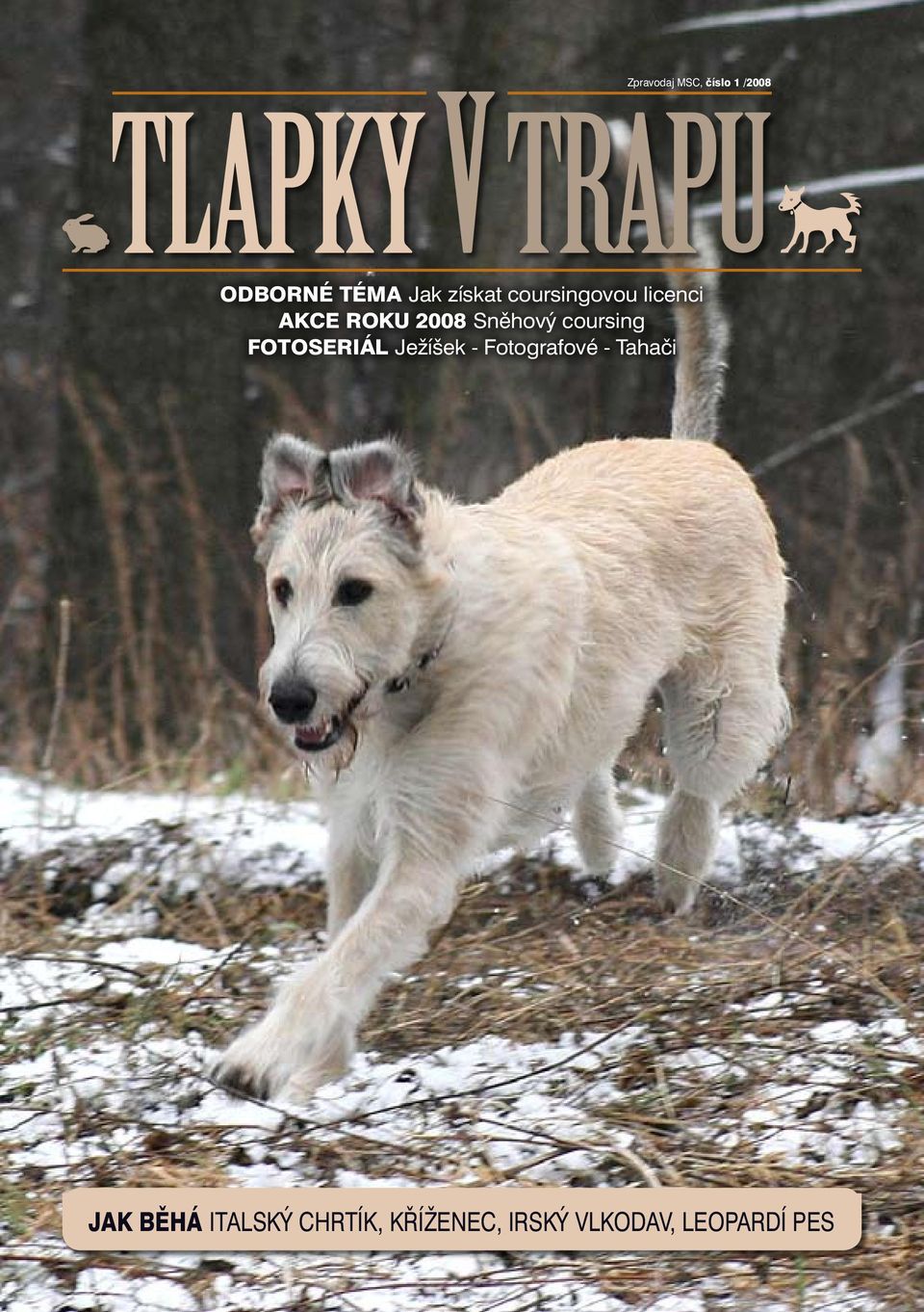 Tlapky v trapu. Jak běhá italský chrtík, kříženec, irský vlkodav, leopardí  pes - PDF Stažení zdarma
