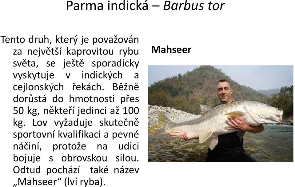 Běžně dorůstá do hmotnosti přes 50 kg, někteří jedinci až 100 kg.