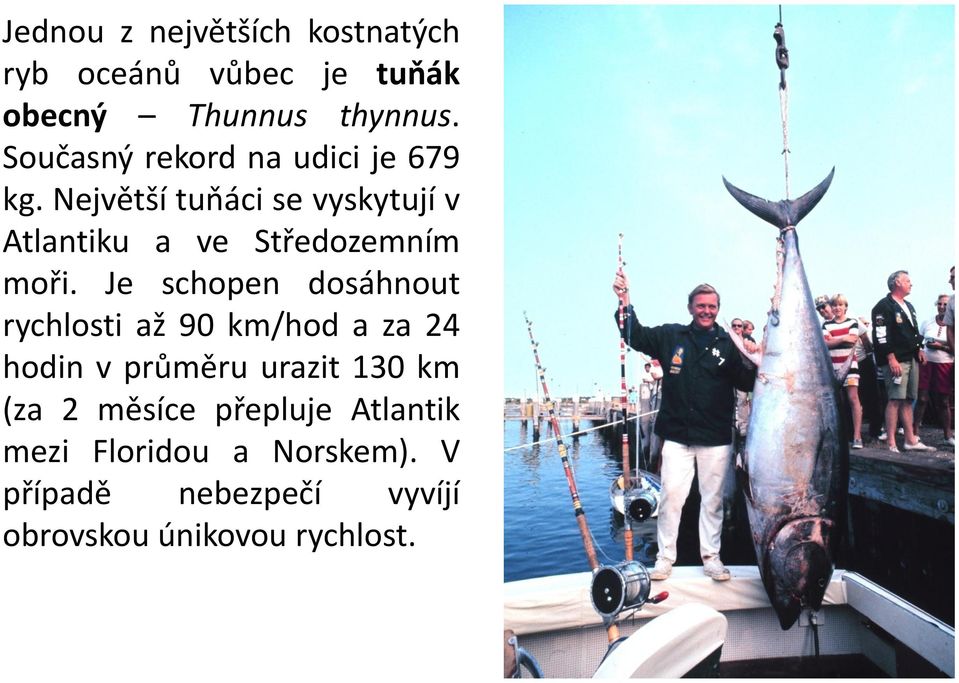 Největší tuňáci se vyskytují v Atlantiku a ve Středozemním moři.